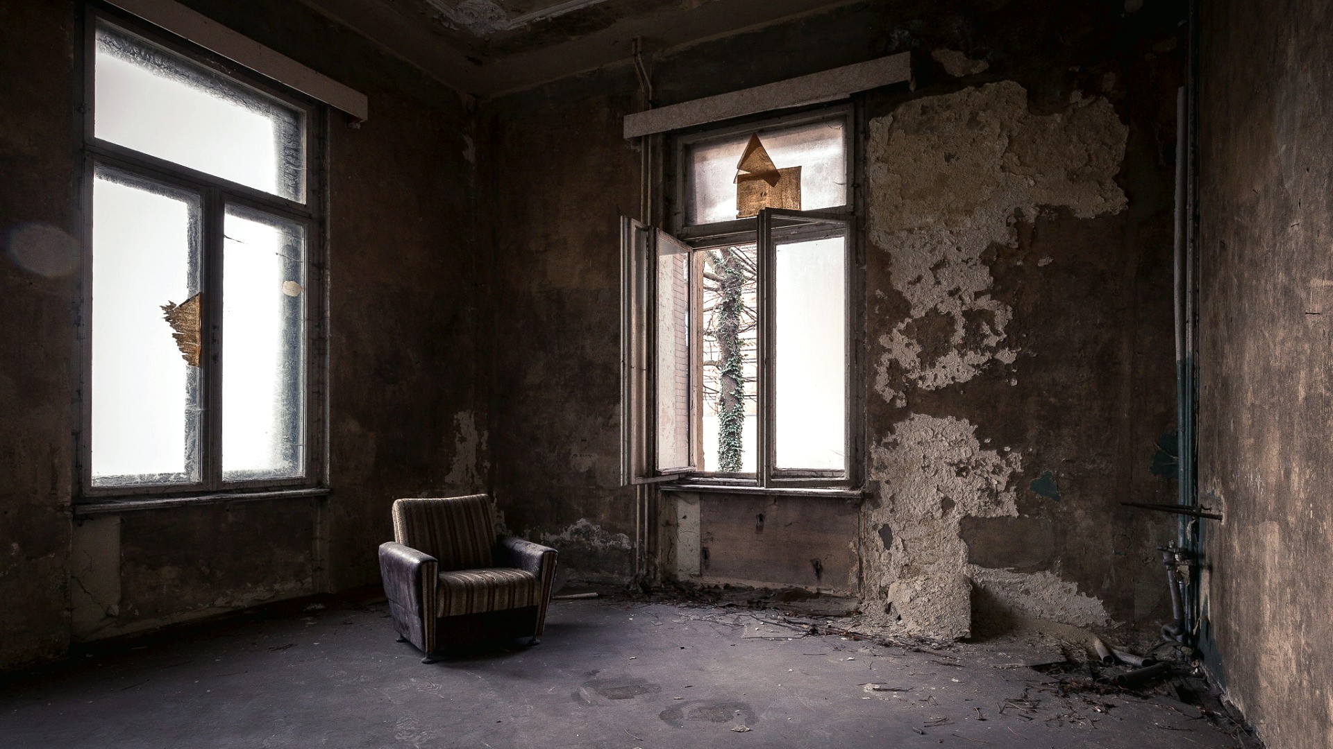 picture: okna, fotel, pokój, piękny (image)