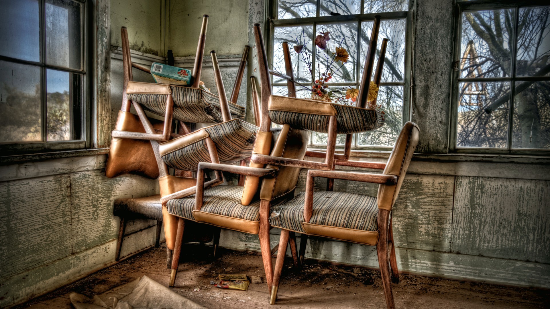 picture: windows, room, chairs (image)