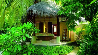 spa, bungalou, vară, hotel, palmieri, relaxare, junglă - image